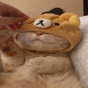 i can't do this **** no more