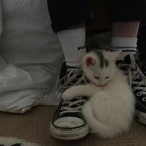 接电话