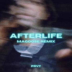 Afterlife (Magoose Remix)