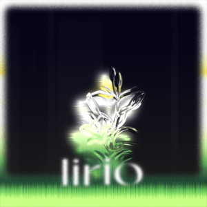 lirio