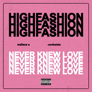 High Fashion (Explicit)