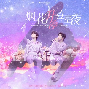 烟花升停在星夜