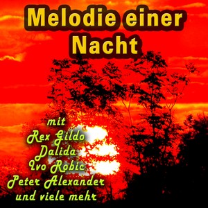 Melodie einer Nacht