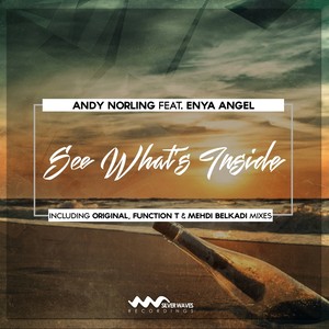 See What's Inside (Original Mix)