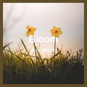 Bloom