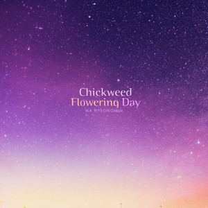 별꽃이 피는 날 (Chickweed Flowering Day)