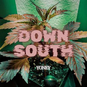 Down South (Explicit)