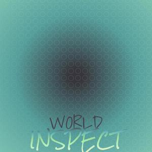 World Inspect