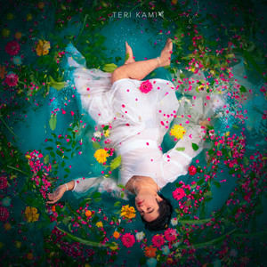 teri kami (ukulele)