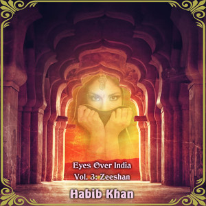 Eyes over India, Vol. 3: Zeeshan