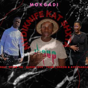 Mokgadi (feat. Ofzer Tee, Queen Love, Tsubi London & Aye thabza)