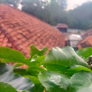 Nahadong