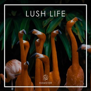 Lush Life (Explicit)