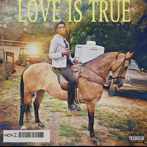 Love Is True (Explicit)