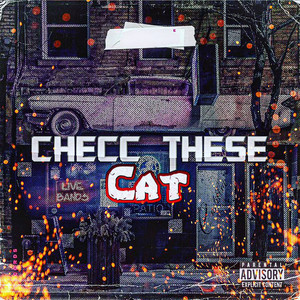 Cheec These Cat (Explicit)