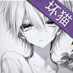 你回来了就好了封面