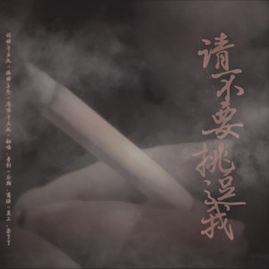 请不要挑逗wo