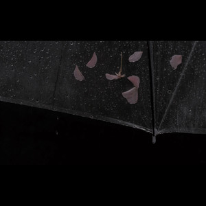 鱼雨（FoolRain）