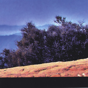 Up To You(Kathie Talbot)