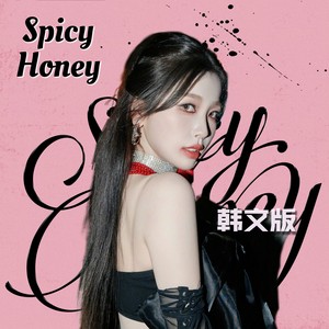 Spicy Honey(翻唱) - 韩文版