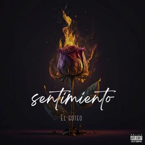 sentimiento (Explicit)