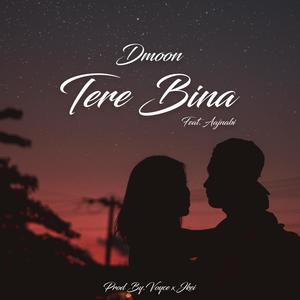 Tere Bina (feat. Aajnabi)