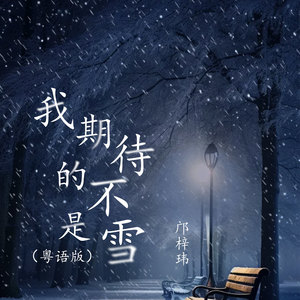 我期待的不是雪（粤语版）