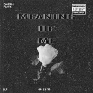 Meaning Of Me (Explicit)