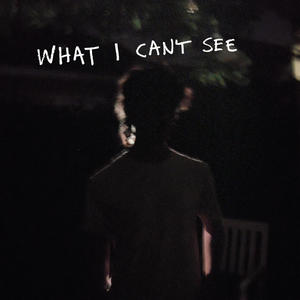 what i can't see