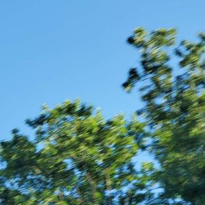 intuition (Explicit)