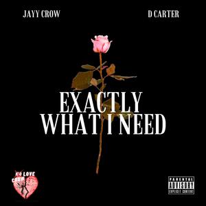 Exactly What I Need (feat. D Carter) [Explicit]