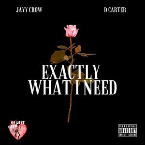 Exactly What I Need (feat. D Carter) (Explicit)