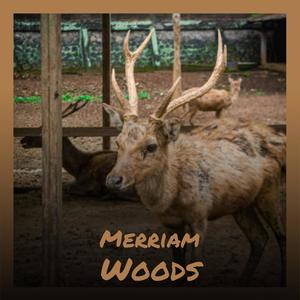 Merriam Woods