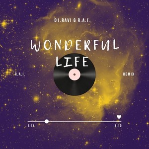 Wonderful Life