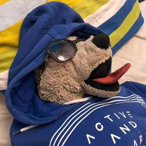 #CCs freestyle lmao (feat. Venchy & Sérginho da Beira-Mar) (Explicit)