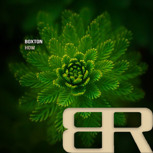 Boxton - How (Original Mix)