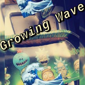 Growning Process (Explicit)