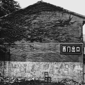 没被解放的姜戈