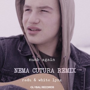 Numb Again (Nema Cutura Remix)