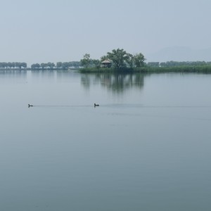 元宵