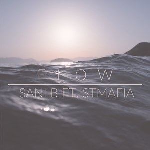 Flow (Explicit)