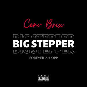 BiG STEPPER (Explicit)