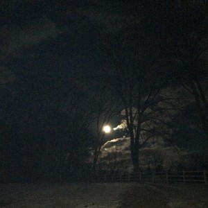 Shine Down Your Light