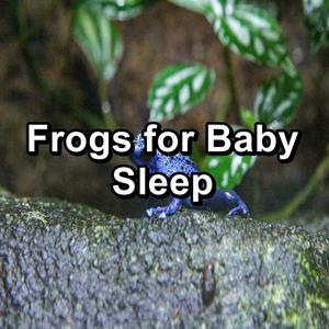Nature Frogs Swamp Sounds