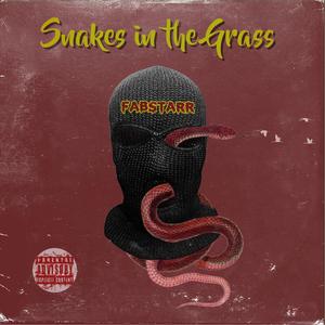 Snakes In The Grass (Explicit)