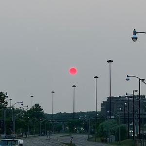 310 (feat. Xoptes & Gorestain) (Explicit)