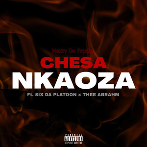 Chesa Nkaoza (Explicit)