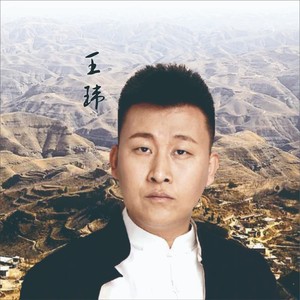 爱情的酒寂寞的杯 (伴奏)