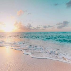 New Wave (feat. Lonely SEJ) (Explicit)