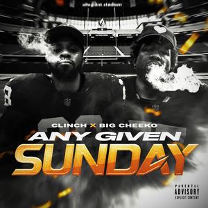 Any Given Sunday (feat. Big Cheeko) [Explicit]